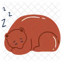 Hibernation  Icon