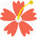 Hibisco Ícone