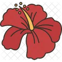 Hibisco  Ícone