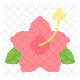 Hibiscus  Icon