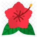 Hibiscus Botanical Blossom Icon