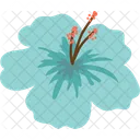 히비스커스 꽃 자연 아이콘