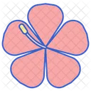 Hibiscus  Icon