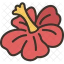 Hibiscus Flower Blossom Icon