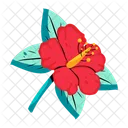 Hibiscus Flower Blooming Flower Exotic Flower Icon
