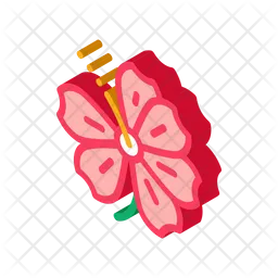 Hibiscus Flower  Icon