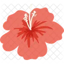 Hibiscus Flower Hibiscus Flower Icon