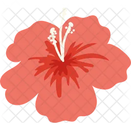 Hibiscus Flower  Icon