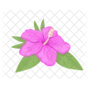 꽃 무궁화 잎 아이콘