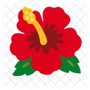 Hibiscus flower  Icon
