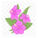 Hibiscus flowers with leaves  Icon