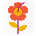 Hibiscus Flower Nature Icon