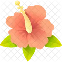 Hibiscus  Icon
