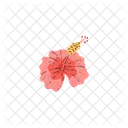 Hibiscus Flower Tropical Icon
