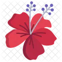 Hibiscus Flower Flowers Icon