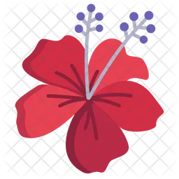 Hibiscus  Icon