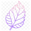 Hibiscus Leaf  Icon