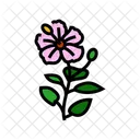 Hibiskus  Symbol