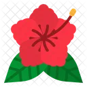 Hibiskus Botanisch Blute Icon