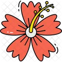 Hibiskus Symbol