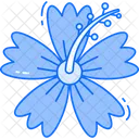 Hibiskus Symbol