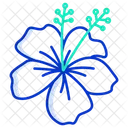 Hibiskus  Symbol