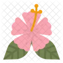 Hibiskus  Symbol