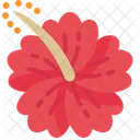 Hibiskus  Symbol