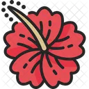 Hibiskus  Symbol