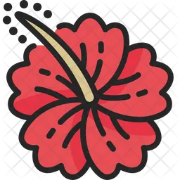 Hibiskus  Symbol