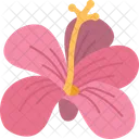 Hibiskus  Symbol