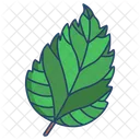 Hibiskusblatt  Icon