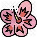 Hibiskus  Symbol