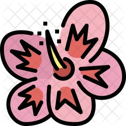 Hibiskus  Symbol