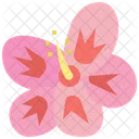 Hibiskus  Symbol