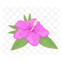 Hibiskusblüte blüht  Symbol