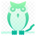 Hibou  Icône