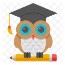 Hibou Sagesse Education Icône