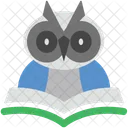 Sagesse Diplome Hibou Icône