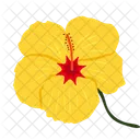 Hibscius Flower Blossom Icon