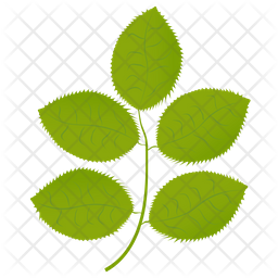 Hickory Leaves Icon