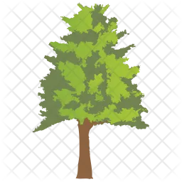 Hickory Tree  Icon