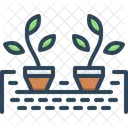 Hidropónico  Icono