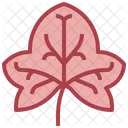 Hiedra  Icono