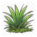 Hierba Naturaleza Verde Icono