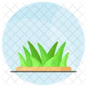 Hierba Primavera Verde Icon