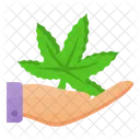 Cannabis Marihuana Droga Icono