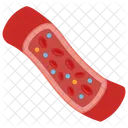 High Density Lipoprotein Lipoprotein High Lipoprotein Icon