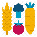 High Fiber Food Fiber Food Healthy Food Icon
