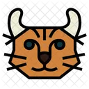 Highlander Cat  Icon